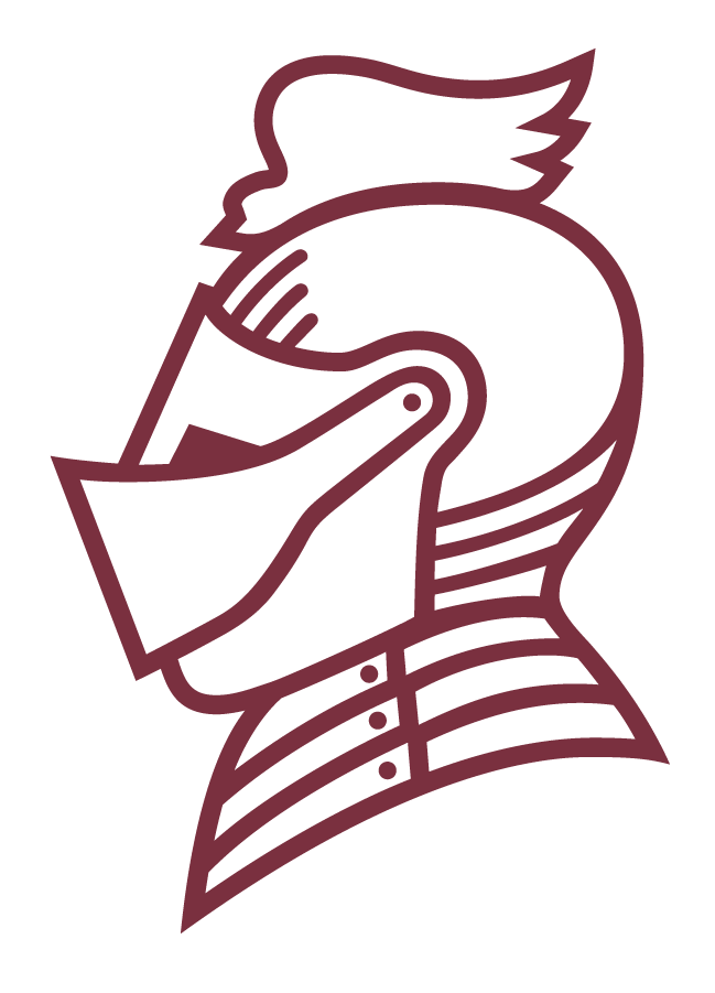 Bellarmine Knights 2010-Pres Secondary Logo diy DTF decal sticker